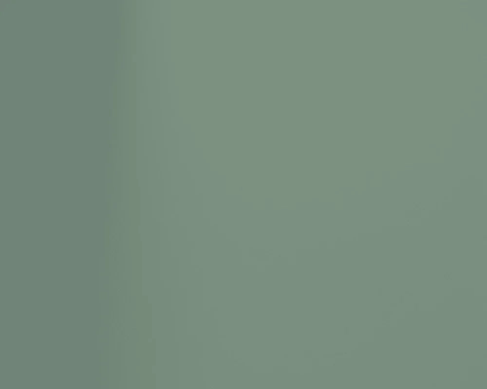 Olive green fabric upholstery swatch with subtle texture and matte finish