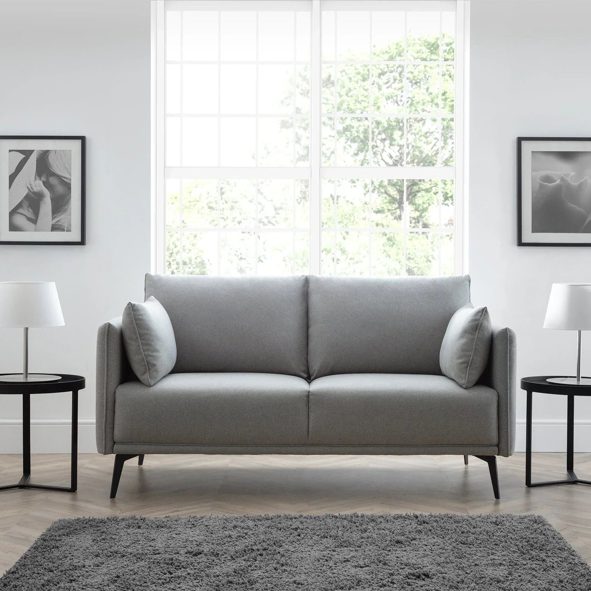 Grey 2 seater sofa with slim arms and cushions in modern living room setting