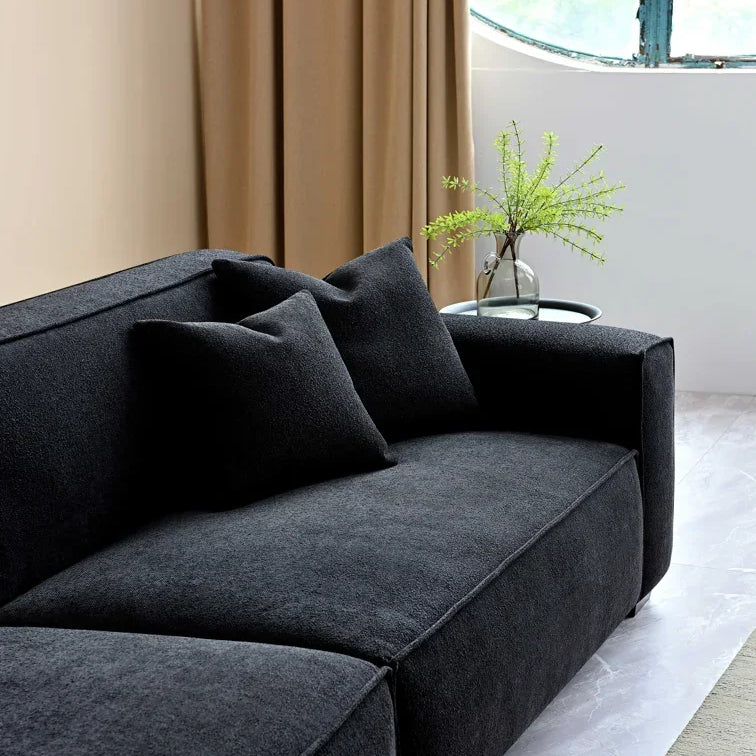 Modern black fabric sofa with clean lines and two cushions in a contemporary living room