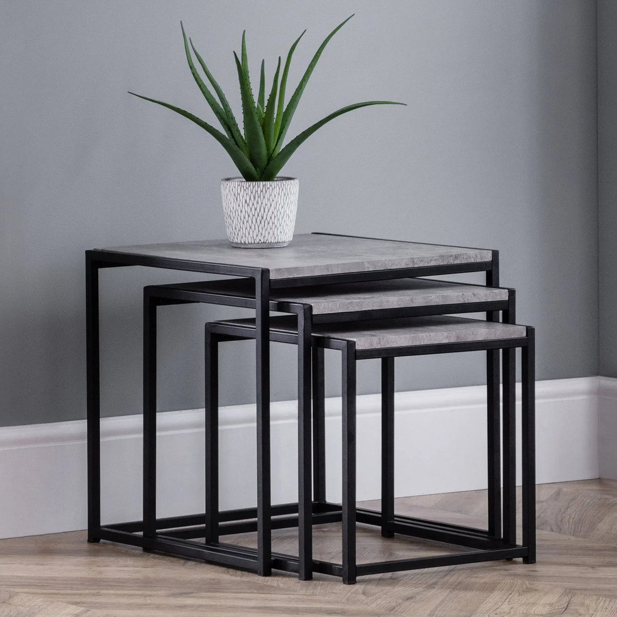 Modern nest of tables with black metal frame and grey tops, aloe plant on top table