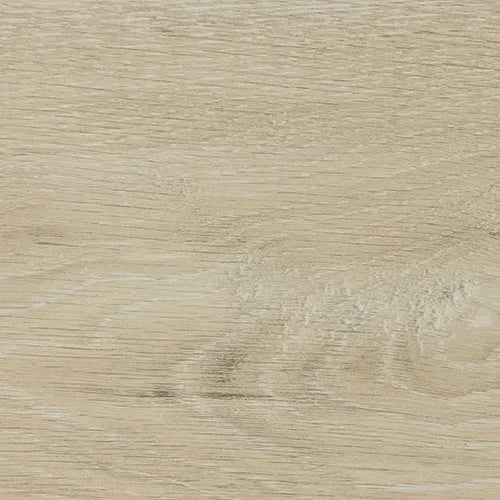 Sunbleached oak wood grain texture in light natural finish for furniture surfaces