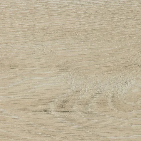 Sunbleached oak wood grain texture in light natural finish for furniture surfaces