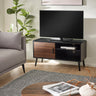 Small TV unit in black wood with one walnut door and open shelves, living room setting with gray sofa