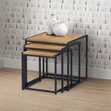 Tribeca Nest Of 3 Tables - Dark Brown - TRI501