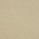 beige carpet sample with soft textured pile, close-up of flooring material surface