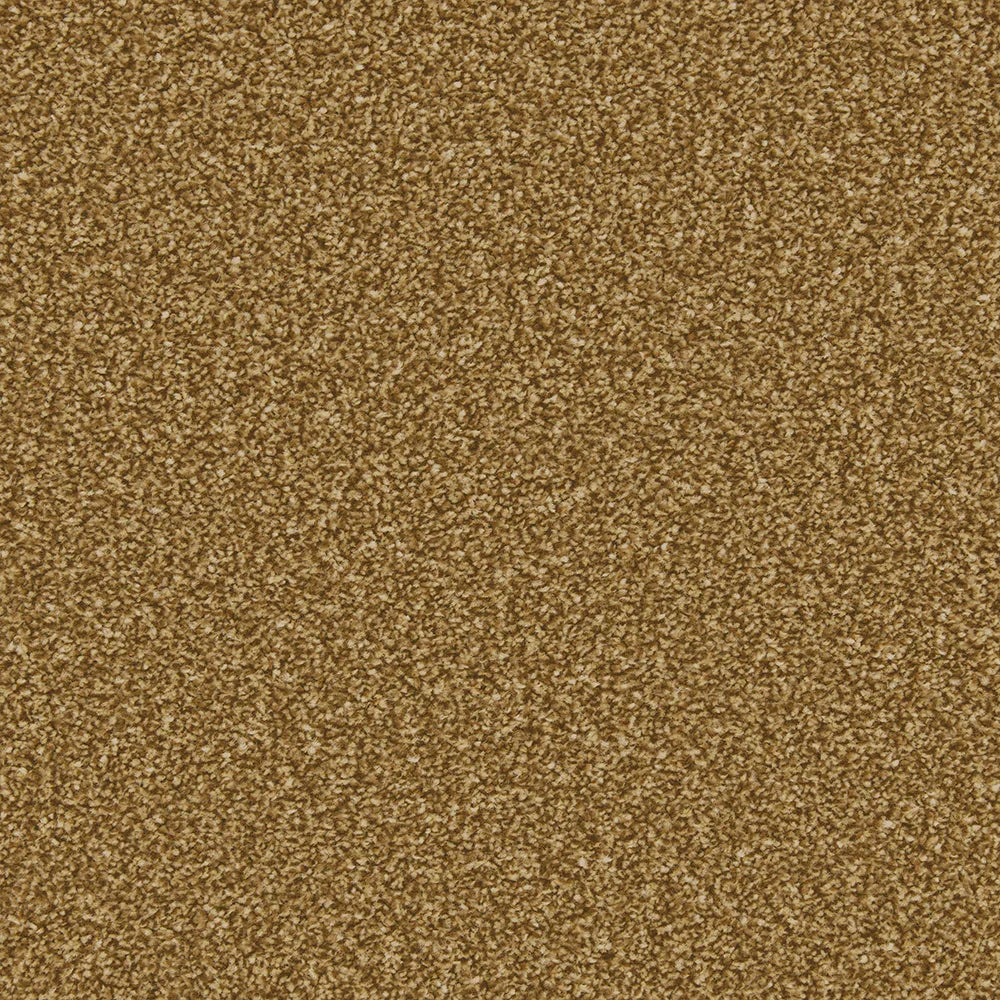 Apollo Plus Bumblebee Carpet - Bumblebee / 4m