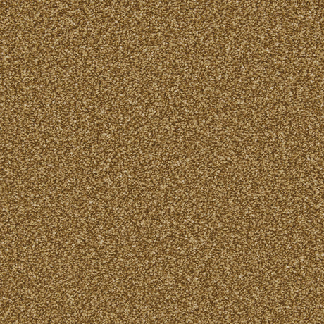 Apollo Plus Bumblebee Carpet - Bumblebee / 4m