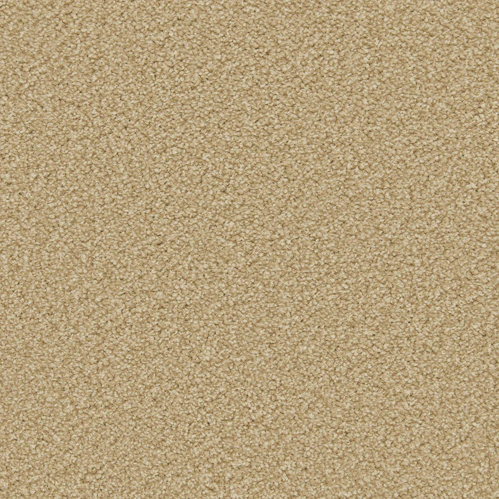 Apollo Plus Caramel Carpet - Caramel / 4m
