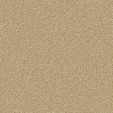 Apollo Plus Caramel Carpet - Caramel / 4m