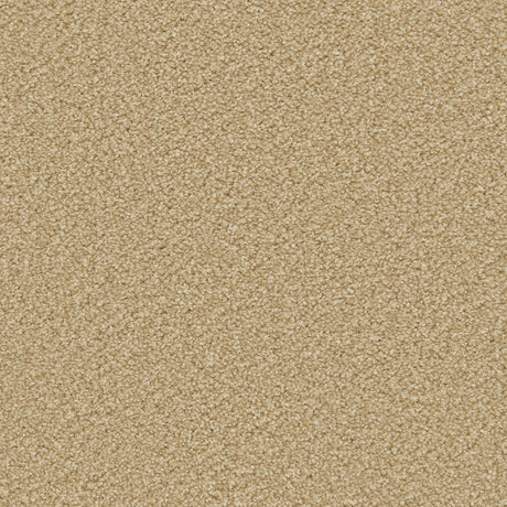 Apollo Plus Caramel Carpet - Caramel / 4m