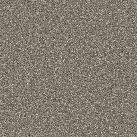 Apollo Plus Cinder Grey Carpet - Cinder Grey / 4m