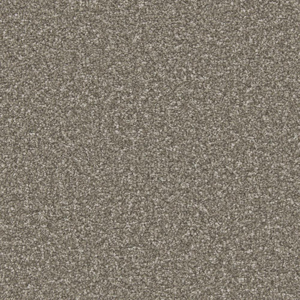 Apollo Plus Cinder Grey Carpet - Cinder Grey / 4m