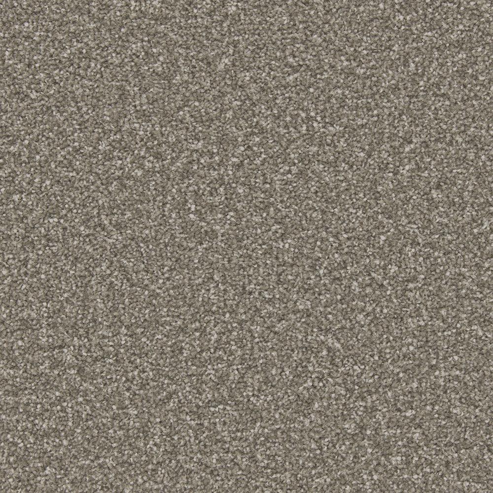 Apollo Plus Cinder Grey Carpet - Cinder Grey / 4m