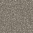 Apollo Plus Cinder Grey Carpet - Cinder Grey / 4m