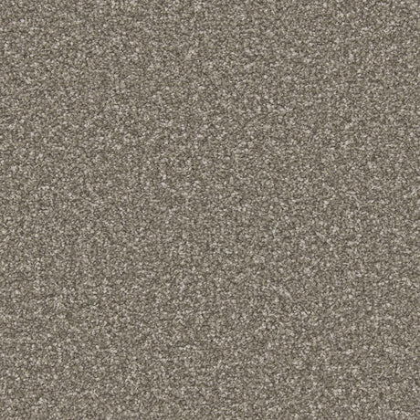 Apollo Plus Cinder Grey Carpet - Cinder Grey / 4m