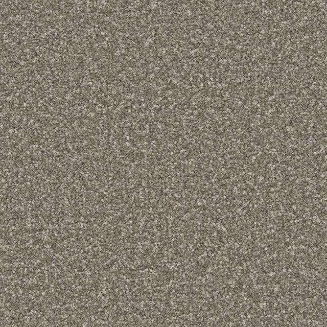 Apollo Plus Cinder Grey Carpet - Cinder Grey / 4m