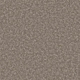 Apollo Plus City Smoke Carpet - City Smoke / 4m