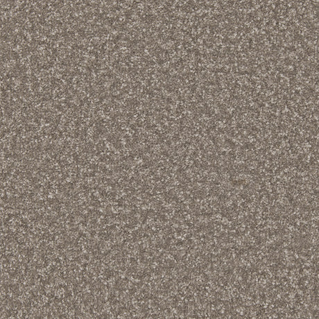 Apollo Plus City Smoke Carpet - City Smoke / 4m