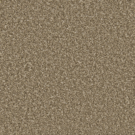 Apollo Plus Cork Oak Carpet - Cork Oak / 4m