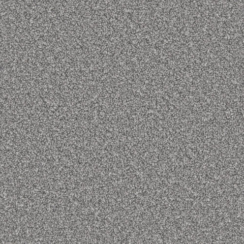 Apollo Plus Homerton Grey Carpet - Homerton Grey / 4m