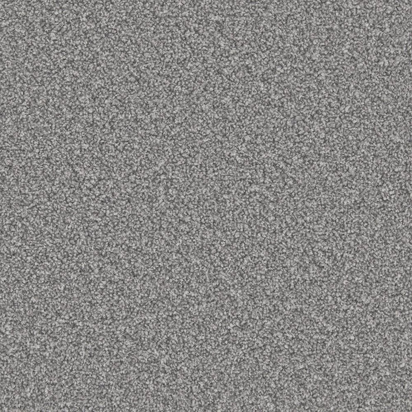 Apollo Plus Homerton Grey Carpet - Homerton Grey / 4m