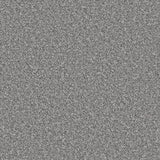 Apollo Plus Homerton Grey Carpet - Homerton Grey / 4m