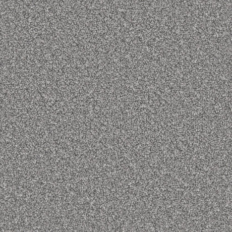 Apollo Plus Homerton Grey Carpet - Homerton Grey / 4m