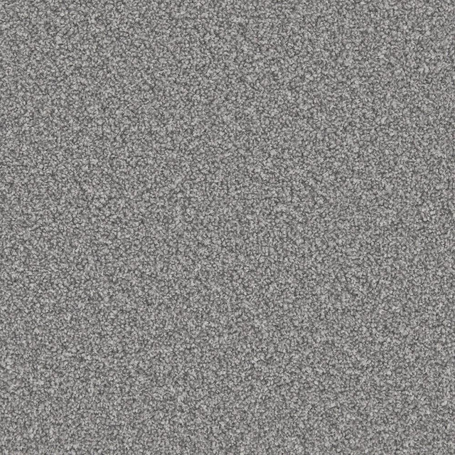 Apollo Plus Homerton Grey Carpet - Homerton Grey / 4m