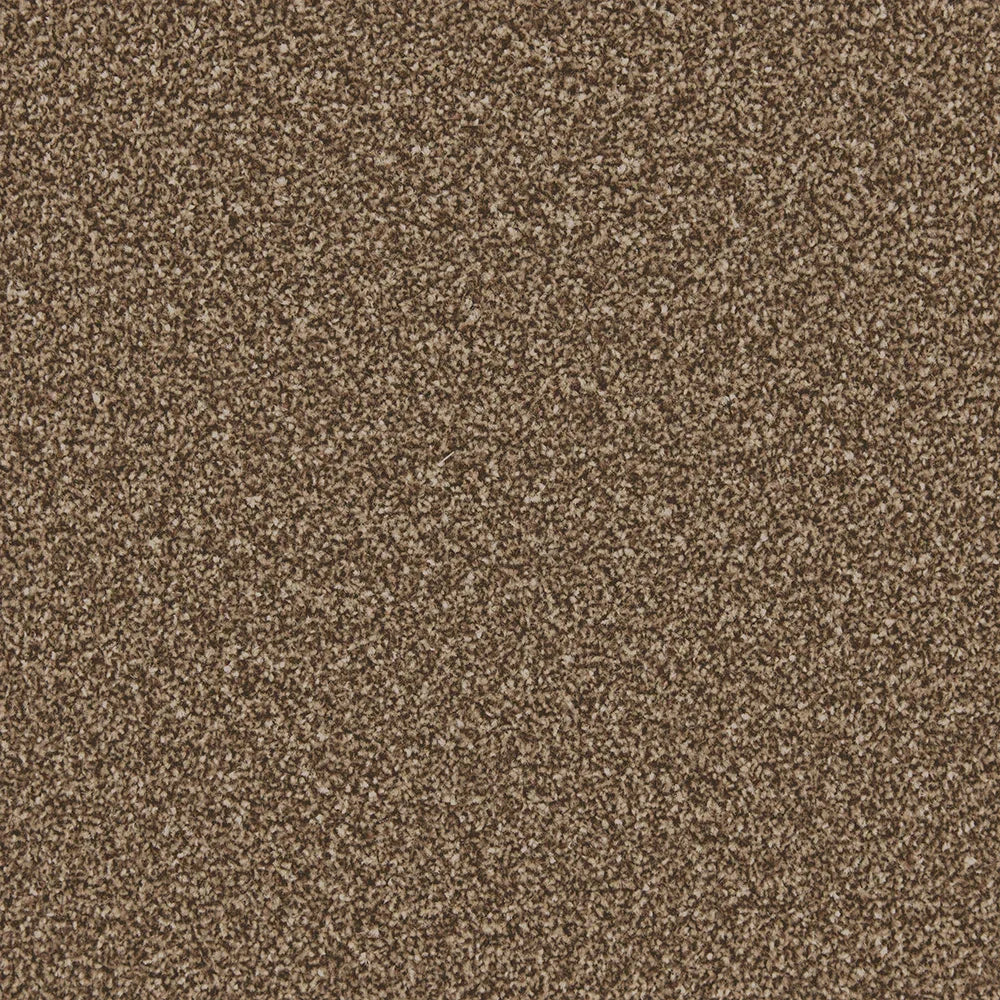 Apollo Plus Mahogany Carpet - Mahogany / 4m