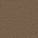 Apollo Plus Mahogany Carpet - Mahogany / 4m