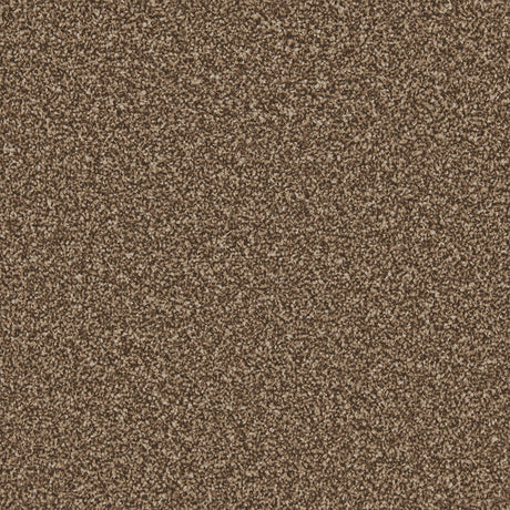 Apollo Plus Mahogany Carpet - Mahogany / 4m