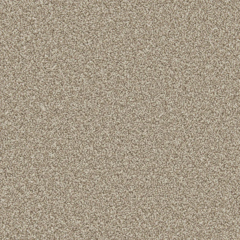 Apollo Plus Manhattan Taupe Carpet - Manhattan Taupe / 4m