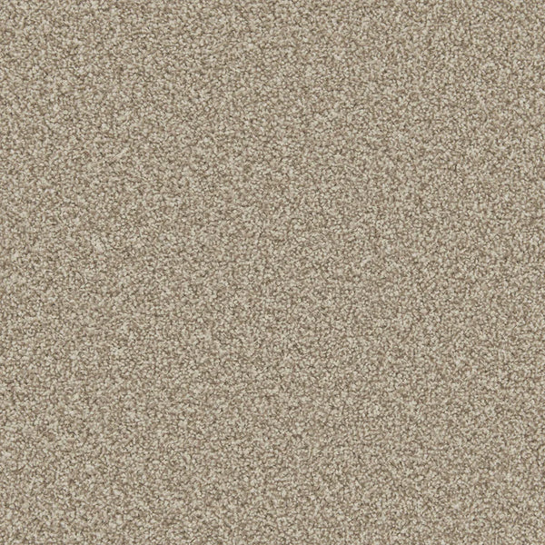 Apollo Plus Manhattan Taupe Carpet - Manhattan Taupe / 4m