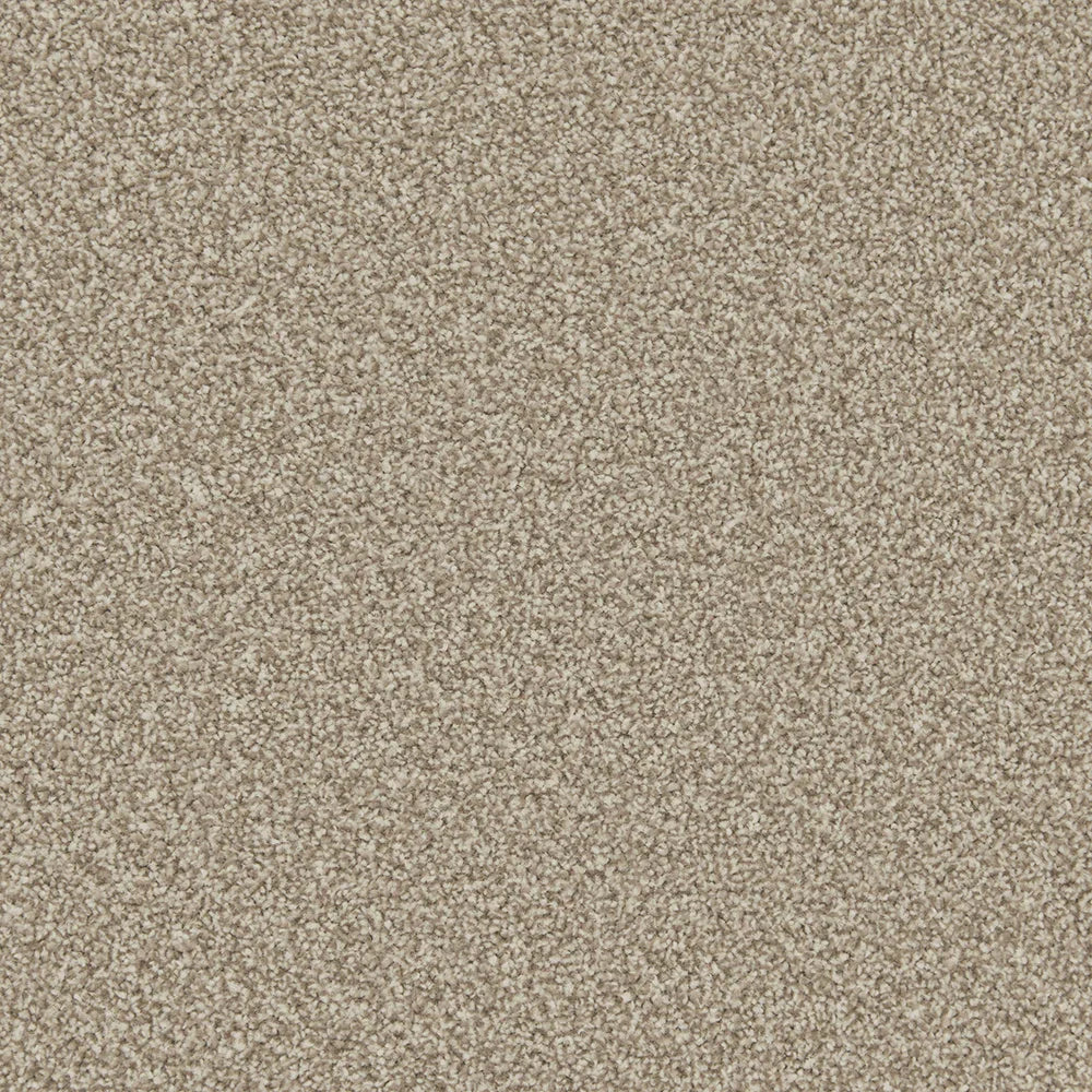 Apollo Plus Manhattan Taupe Carpet - Manhattan Taupe / 4m