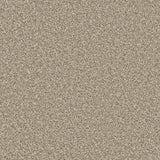 Apollo Plus Manhattan Taupe Carpet - Manhattan Taupe / 4m
