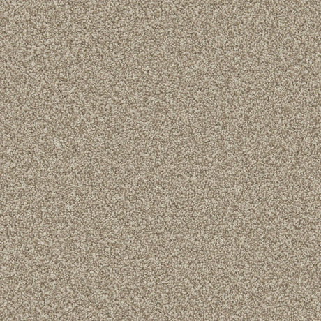 Apollo Plus Manhattan Taupe Carpet - Manhattan Taupe / 4m