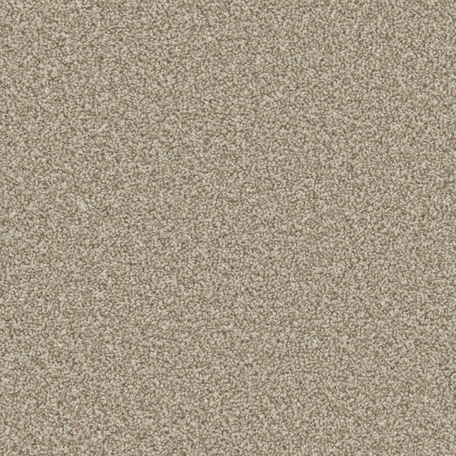 Apollo Plus Manhattan Taupe Carpet - Manhattan Taupe / 4m