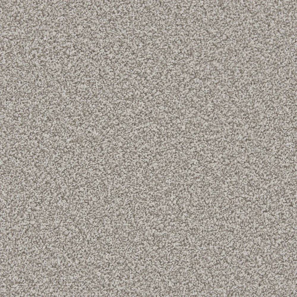 Apollo Plus Meteorite Carpet - Meteorite / 4m