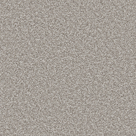 Apollo Plus Meteorite Carpet - Meteorite / 4m