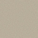 Apollo Plus Pebblestone Carpet - Pebblestone / 4m