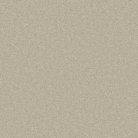 Apollo Plus Pebblestone Carpet - Pebblestone / 4m