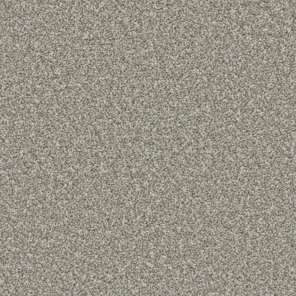 Apollo Plus Persian Doll Carpet - Persian Doll / 4m