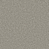 Apollo Plus Persian Doll Carpet - Persian Doll / 4m