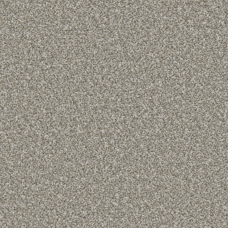 Apollo Plus Persian Doll Carpet - Persian Doll / 4m