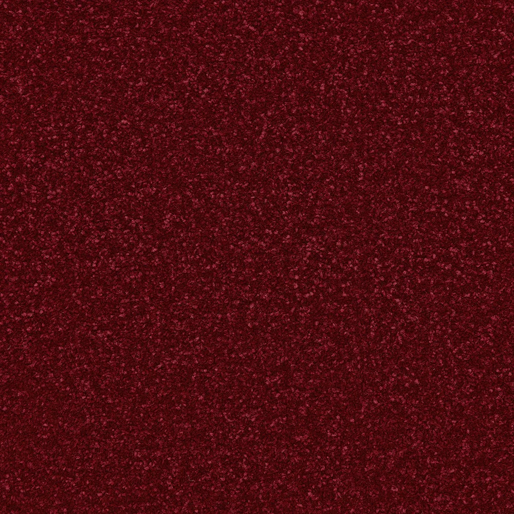 Apollo Plus Scarlet Carpet - Scarlet / 4m