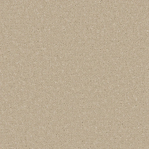 Apollo Plus Sea Breeze Carpet - Sea Breeze / 4m