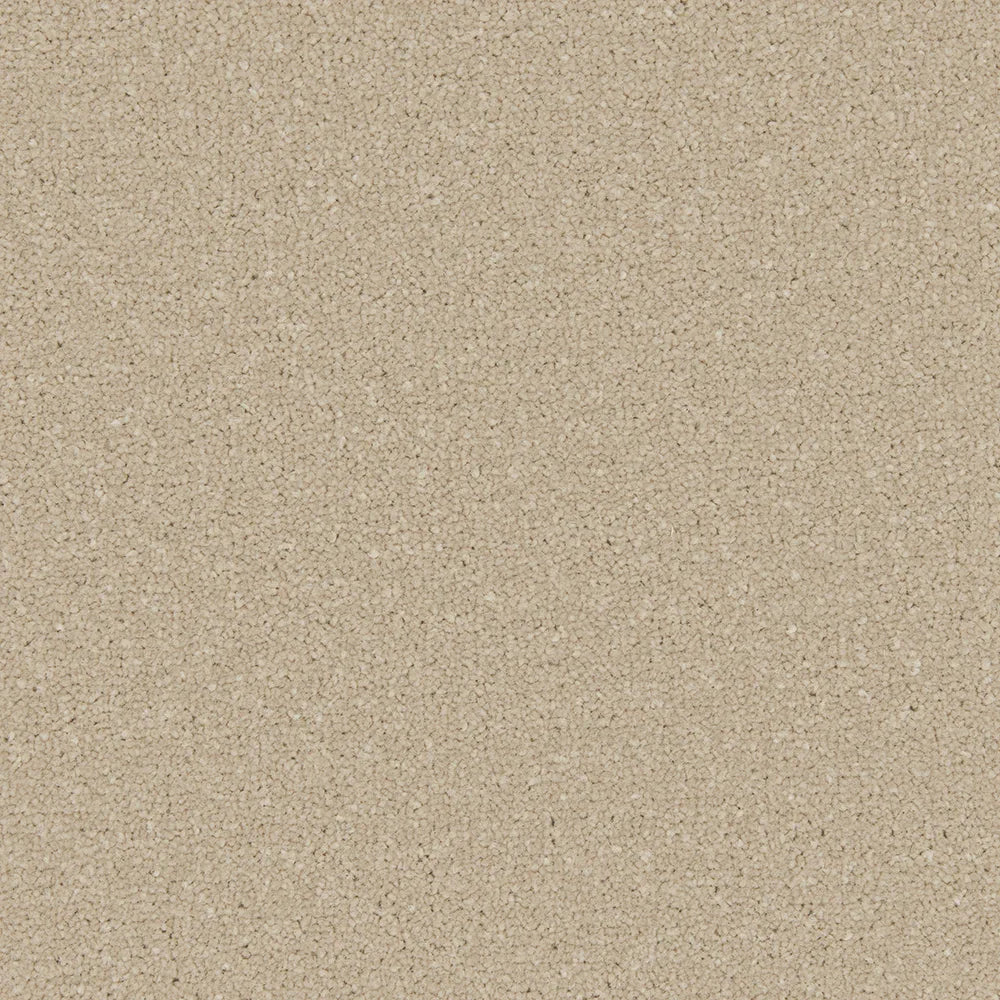 Apollo Plus Sea Breeze Carpet - Sea Breeze / 4m