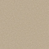 Apollo Plus Sea Breeze Carpet - Sea Breeze / 4m