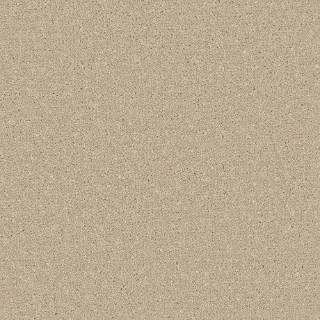 Apollo Plus Sea Breeze Carpet - Sea Breeze / 4m