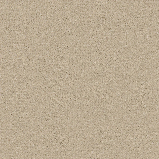 Apollo Plus Sea Breeze Carpet - Sea Breeze / 4m